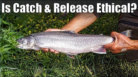 Catch and Release vs Catch and Keep