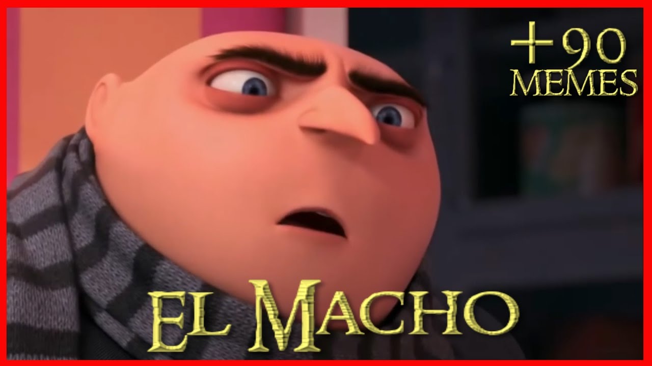 El Macho MEMES DE LA SEMANA YouTube