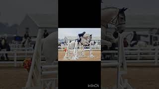 Cobweb is the Oldest￼