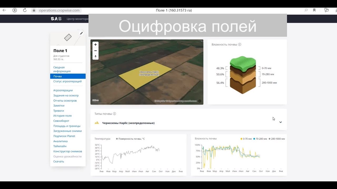 Оцифровка полей