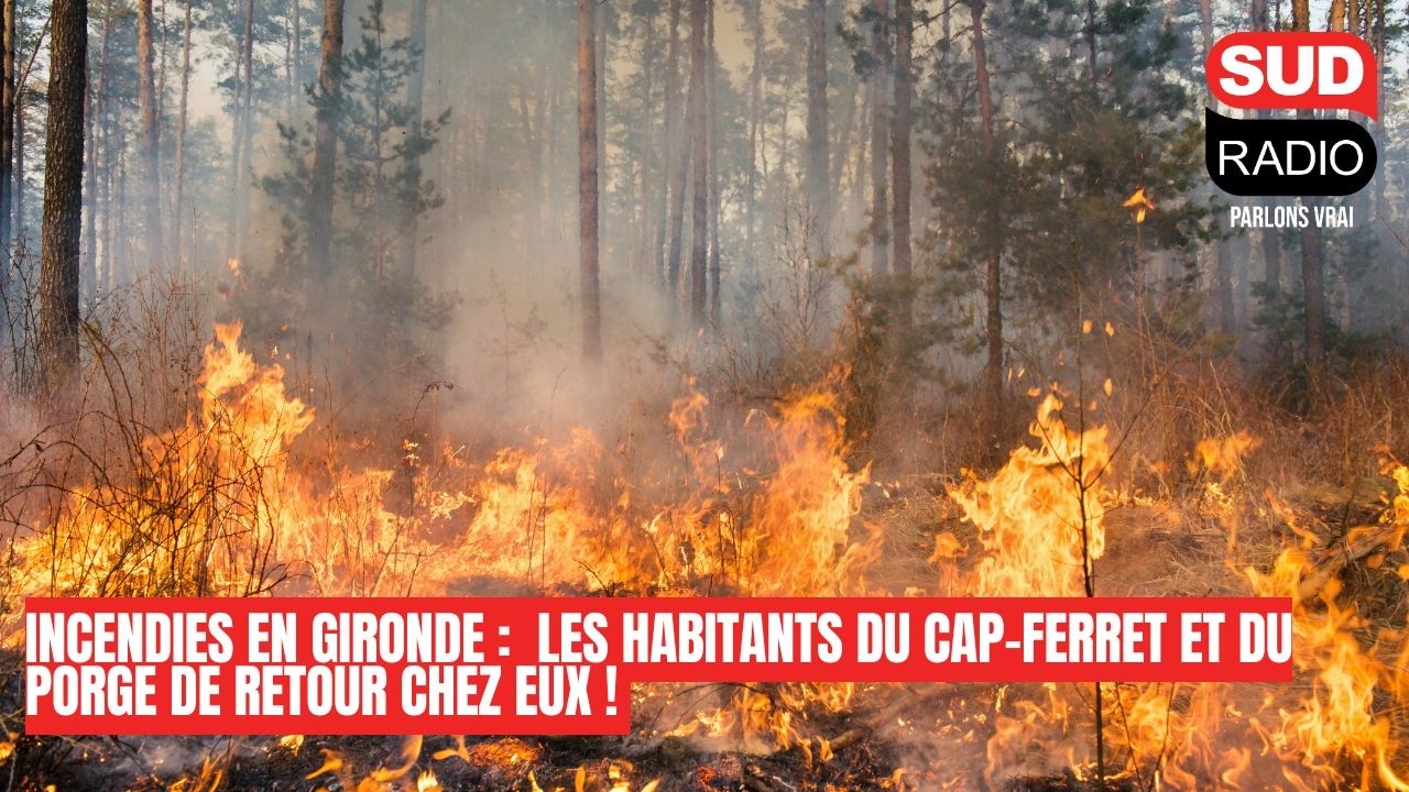 Incendies en Gironde : les habitants du Cap-Ferret et du Porge de retour chez eux !