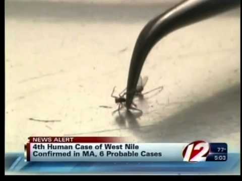 Massachusetts reports first human case of West Nile Virus