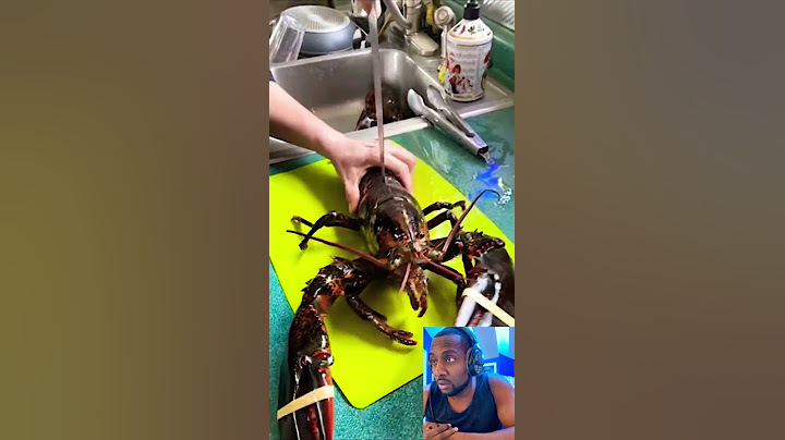How To Kill a Lobster 🦞😳 #shorts