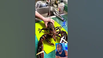 How To Kill a Lobster 🦞😳 #shorts