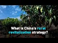 What is China’s rural revitalization strategy?