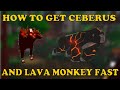 HOW TO GET CERBERUS AND LAVA GORILLA FAST | Roblox Animal Simulator