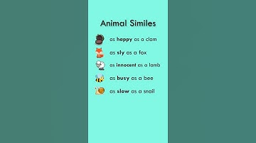 Thumbnail of Animal Similes