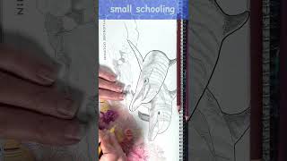 Why I Love the Bottlenose Dolphin #howto #drawing #color #arttutorial #art #coloring #watercolor