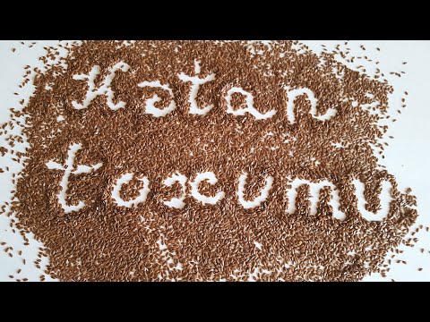 Video: Kətan Toxumu Yağı Necə əldə Edilir