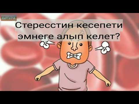 Video: Стресс чачыңыз агарабы?