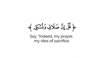 كروما شاشه بيضاء قرآن كريم 🌿تلاوة من سورة الأنعام🌿القارئ رعد الكردي 🌿