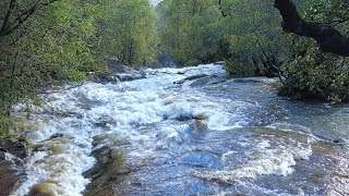 Aira Force Waterfalls After Heavy Rain Walk, The Lake District  English Countryside 4K