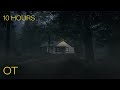 Stormy Spooky Night in the Woods | Soothing Rain & Thunder Sounds for Relaxing | Studying | Sleeping