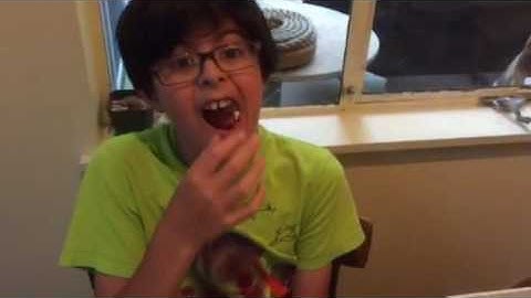 Elenco Snap Circuits | LAMP AND FAN IN SERIES