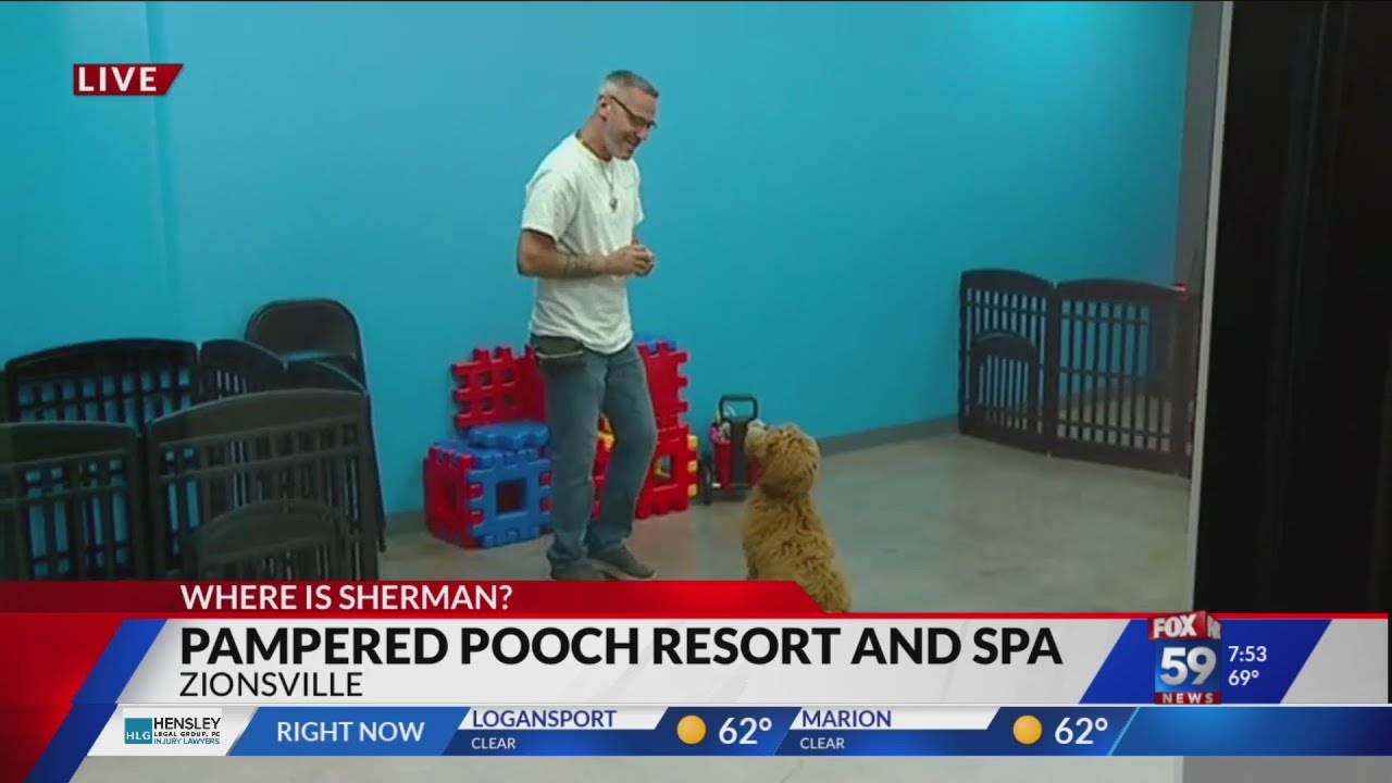 Where Is Sherman? Pampered Pooch Resort & Spa