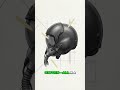 Inside the F 35’s $250K Helmet A Jet’s Brain Beamed Straight to Your Eyes