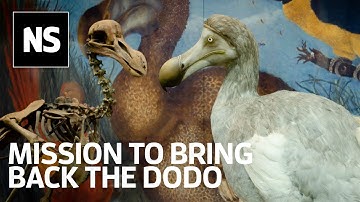 Beth Shapiro: The ancient DNA pioneer’s mission to bring back the dodo