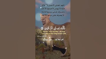 تلاوة خاشعة عطرة مباركة جميلة عذبة للشيخ فارس عباد ماتيسر من سورة الشعراء