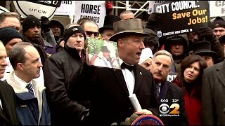 Horse Carriage Bill Proposed Before City Council