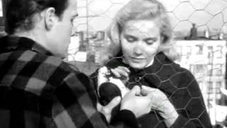 On the waterfront love scene