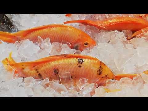 La trazabilidad del pescado congelado - Disanfrio