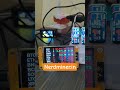 Cheapest SOLO Bitcoin Miner That Can Win 3.125 BTC! 😱 | Nerdminer CYD