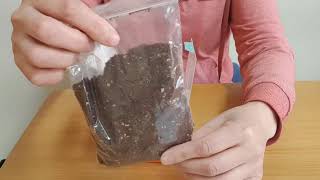[매탄고]통합교육순회학급 1반 - 창체 씨앗심기