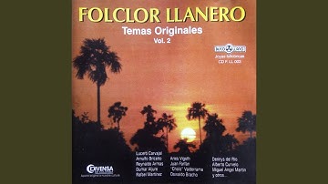 Llanera Tenias Que Ser