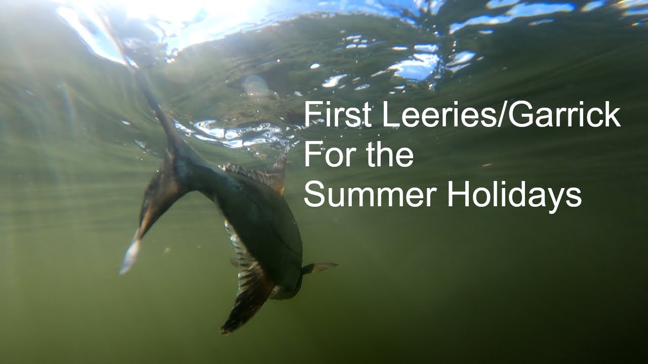 Fly Fishing from a float tube for December leeries/garrick - YouTube