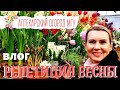 ВЛОГ | МОСКВА | РЕПЕТИЦИЯ ВЕСНЫ | ПЕРВОЦВЕТЫ и ОРХИДЕИ