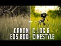 Make Your Canon 80D Videos More Cinematic