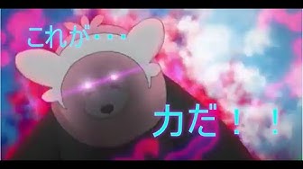 キテルグマ Youtube