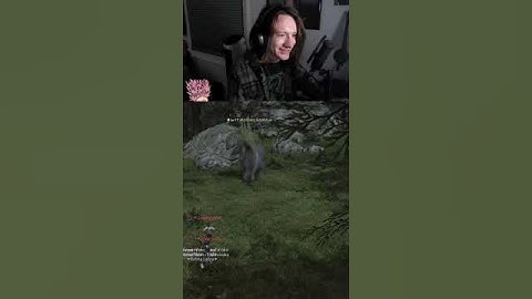 FFXIV visual glitch #twitchfunnymoments #twitch #FFXIV