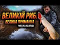 Великій рибі Велика приманка! Силікон чи воблер? Рибалка в Листопаді!