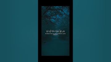 #صوت_جميل #شيخ ياسر الدوسري #تلاوة_خاشعة#القران_الكريم #viral#300k#fyp #foryou