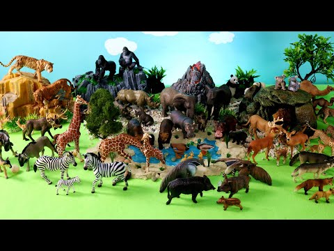 Fun Safari Diorama and Animal Figurines   Learn Animal Names