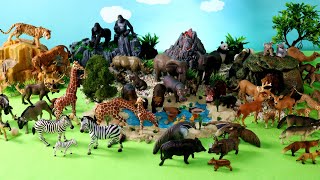 Fun Safari Diorama and Animal Figurines   Learn Animal Names