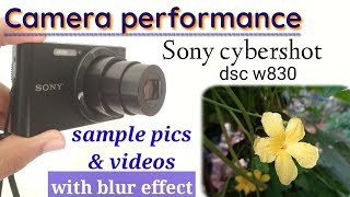 Sony cybershot DSC W830 Camera performance || sample photos and videos