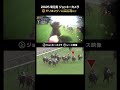 【ジョッキーカメラ×レース映像】2025年菊花賞 エリキング 川田将雅騎手 #shorts |JRA公式