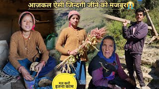 गाँव के जीवन में कठिन कामकाज ओर चुनौतिया😔 || pahadi lifestyle vlog || manoj bisht chamoli