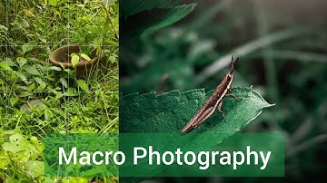 Macro Photography Without Macro Lens | Lightroom Editing Mobile | GCam | Snapseed Editing Mobile