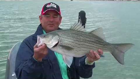 Catching Different Fish Species on Lake McConaughy...