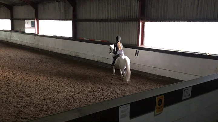 Interdressage Alethea Gill & Tikka 1AJ Walk & Trot...