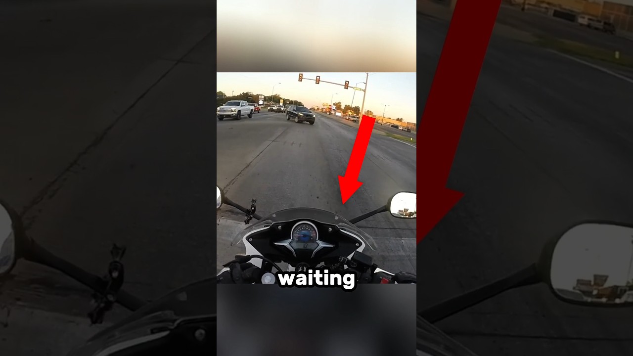 Biker Spots Kitten in the Road and Saves It. 