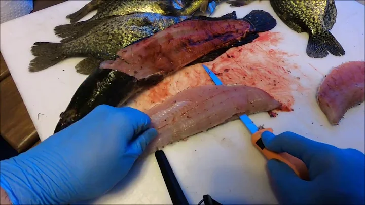 NORTHERN SNAKEHEAD catch,fillet,cook,and taste test!