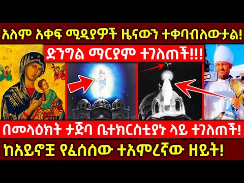 ቪዲዮ: በፀሐይ ጨረሮች የተቀረጹ ሥዕሎች። ሎረን Parcelier