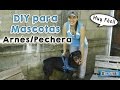 Cómo hacer un arnés/pechera para tu perro │DIY