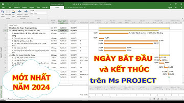 Hiện thị ngày bắt đầu và kết thúc Gantt chart Ms Project | Lập tiến độ thi công xây dựng