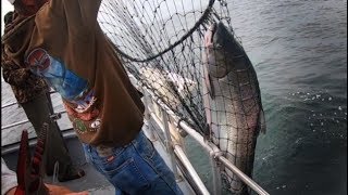 Coho and Chinook Salmon Fishing Washington USA