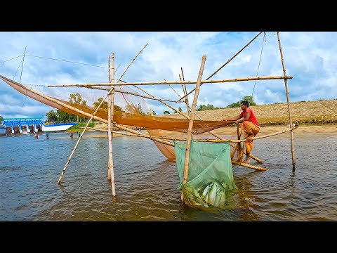 টাঙ্গনে ধর্ম জাল দিয়ে মাছ ধরার সের পদ্ধতি| Ttraditional_fishing village_fishing Best net fishing